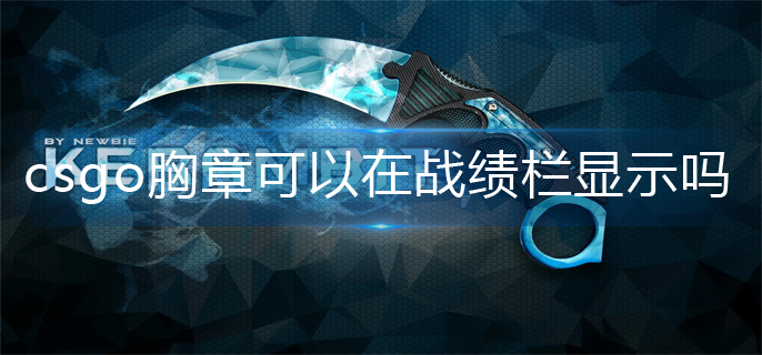 csgo胸章可以在战绩栏显示吗