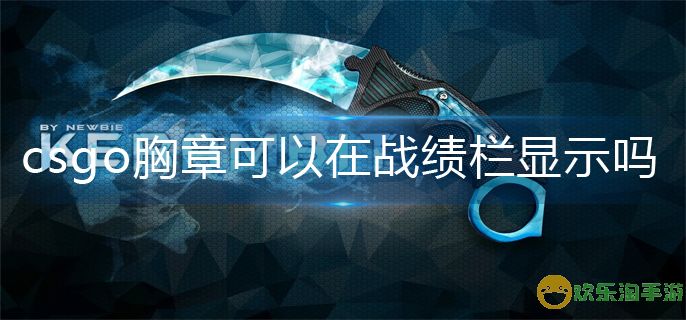 csgo胸章战绩栏显示方法