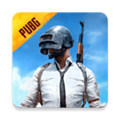 PUBG体验服手游