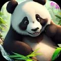 熊猫爱旅行向导最新安卓版