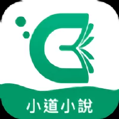 小道小说