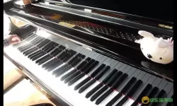 完美钢琴为什么点不动？极品钢琴为什么玩不了？