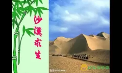 沙漠求生群体决策 沙漠求生群体决策