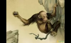 卡片怪兽六耳猕猴 卡片怪兽六耳猕猴介绍