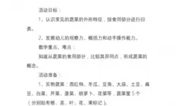 水果大作战教案健康 水果大作战教案助健康