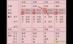 青云诀2命格摆放图 青云诀2命格摆放图解