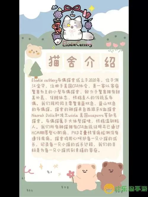 《老六爱找茬》如何不辜负你的猫的净资产