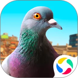 城市鸽子模拟器安卓版下载