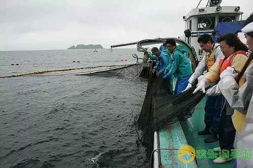 海洋捕鱼为什么在早上