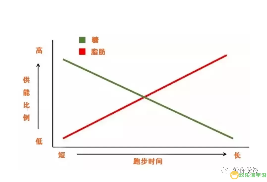 随动回旋镖标准版和普通版的区别