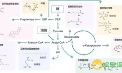 元素合成理论