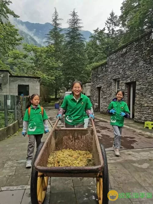 小小山谷物品价格