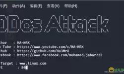 破坏者ddos