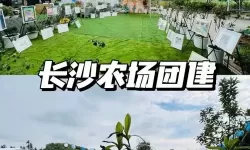 奇妙农场团建活动