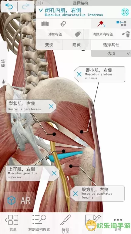 3D人体解剖最新版本