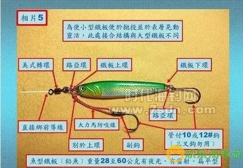 钓鱼技巧大全视频教程