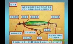 钓鱼技巧大全视频教程