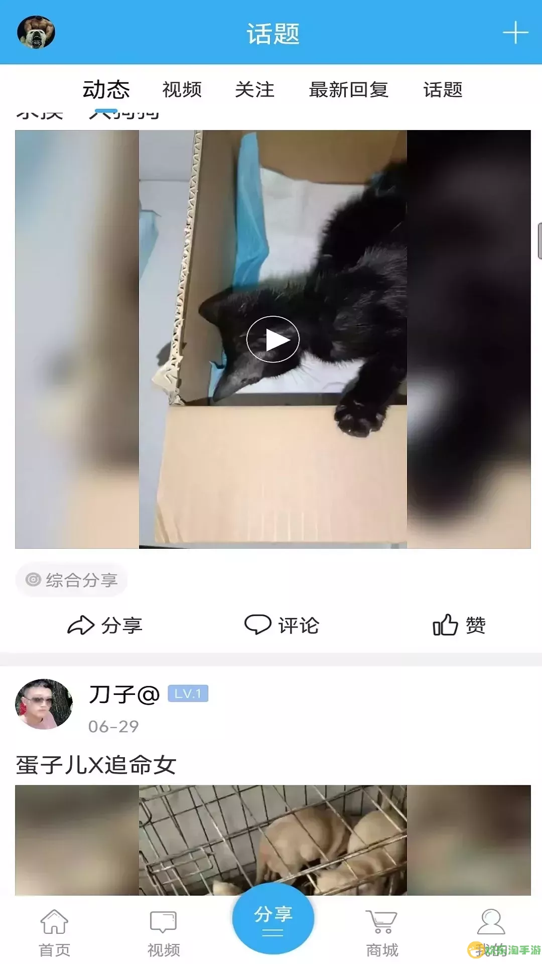 猛犬俱乐部下载最新版本