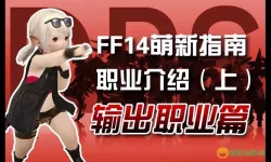 ff14萌新玩什么职业