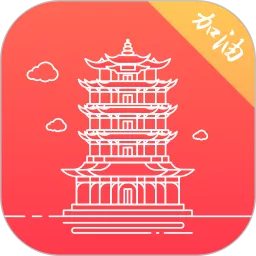 数字武汉下载app