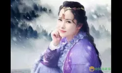 张无忌大战紫衫龙王