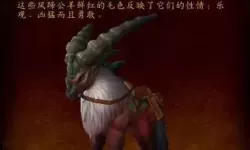 魔兽世界影踪突袭营声望坐骑（魔兽世界影踪派声望坐骑）