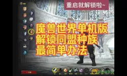 魔兽世界10.0无法进入的解决方案，9.0版本游戏也进不去的原因分析