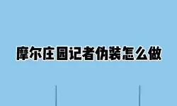 摩尔庄园一直让做好记者伪装-摩尔庄园一直让做好记者伪装怎么办