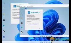 Windows 11专业版与家庭版对比：哪个更适合你？