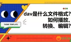 dav格式文件用什么软件打开