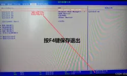 “如何使用U盘重装Windows 10系统一步骤详解”