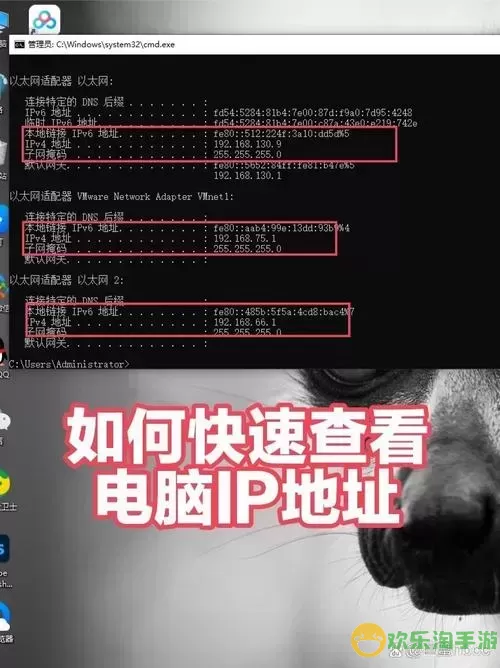 linux查看本机ip地址-linux查看本机ip地址命令图1