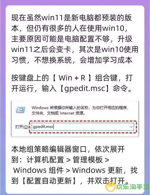 如何在不丢失数据的情况下将Windows 11降级至Windows 10图1