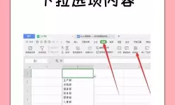 如何设置表格中的下拉框选项？详解常见问题及解决方案