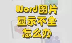 解决Word文档中图片不显示的详细方法和技巧