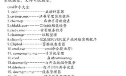 在命令提示符中运行C程序的详细步骤与技巧