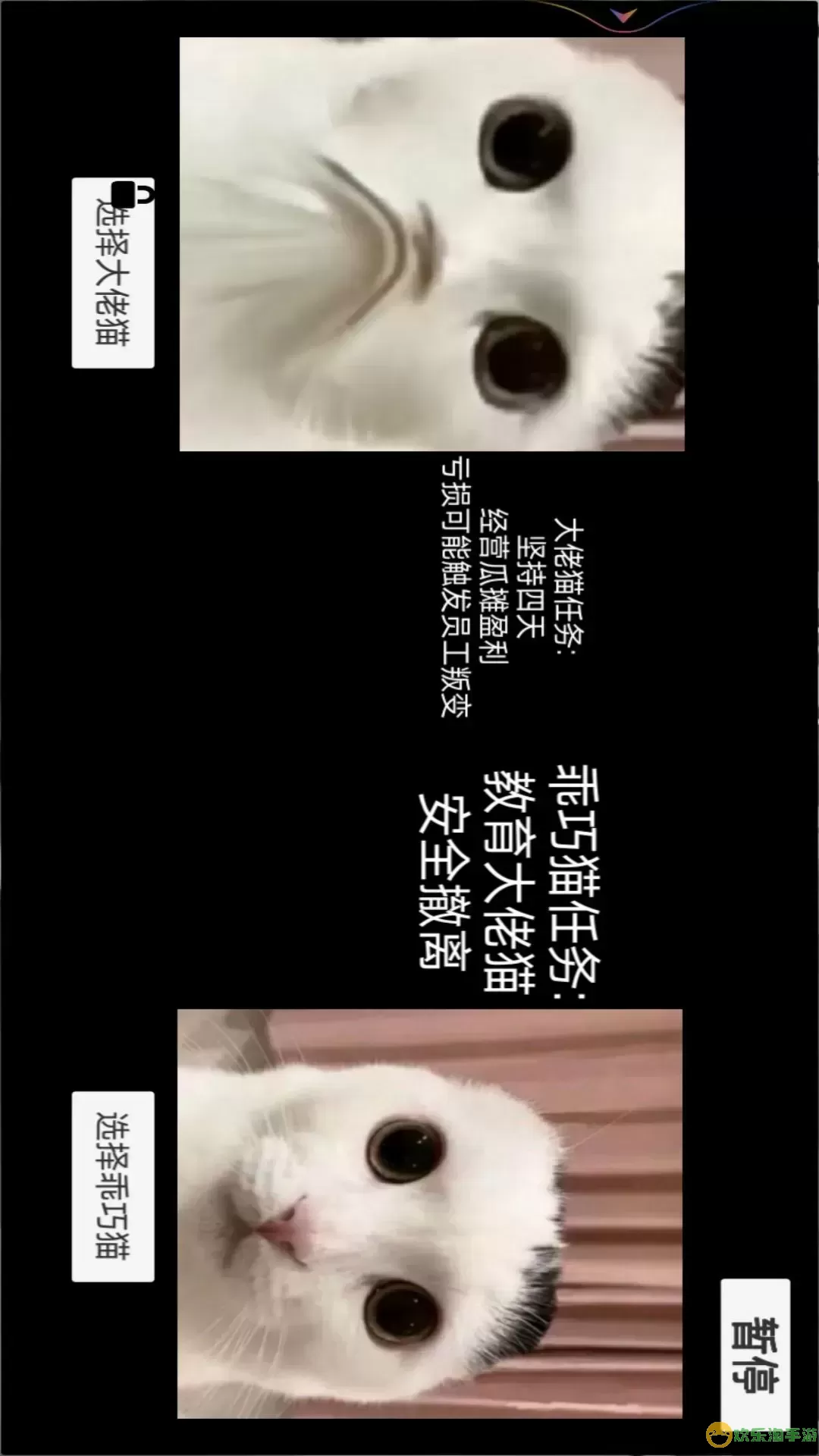 猫猫惊魂夜下载最新版