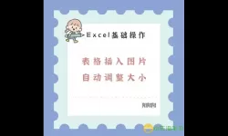 excel倒三角怎么添加内容-excel表格倒三角如何添加内容