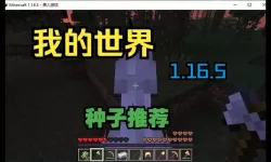 我的世界1.16种子推荐