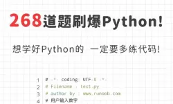 使用Python编写软件的推荐工具与方法解析