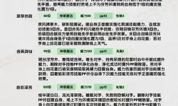 洛克王国2025年费预告，洛克王国2020年费是什么