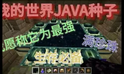 我的世界1.19种子java