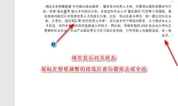 HBuilder一键对齐功能详解：轻松实现代码右对齐技巧分享