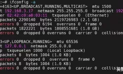 详细指南：如何在Linux系统中查看IP地址的方法解析