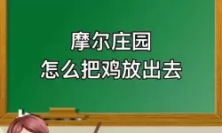 摩尔庄园的鸡为什么暂停中，摩尔庄园鸡为什么会暂停