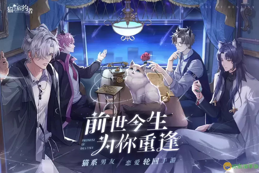 猫之宿约者安卓正版