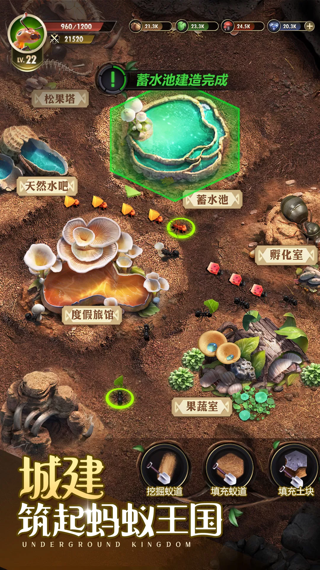 小小蚁国游戏下载图3