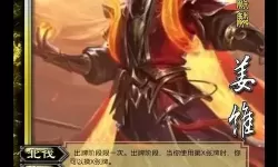 三国杀攻略：深入解读姜维技能与配合策略